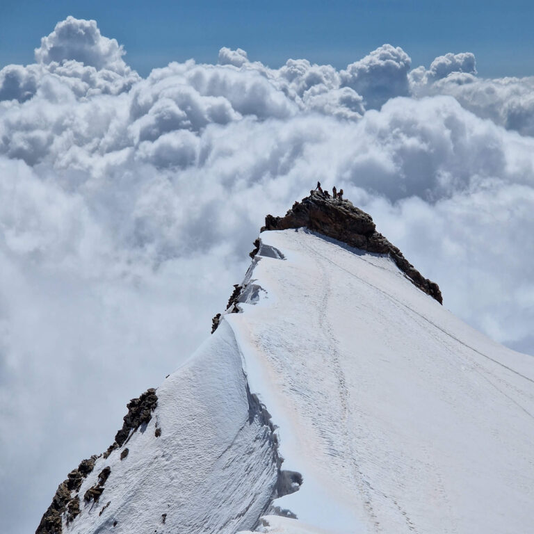 20240718_113205a(1)(1)