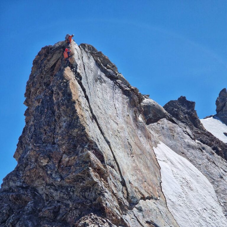 20240823_140554_1(1)(1)