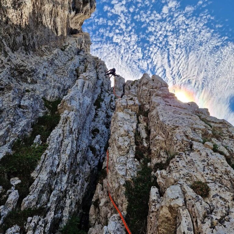 IMG-20250901-WA0019(1)(1)(1)(1)