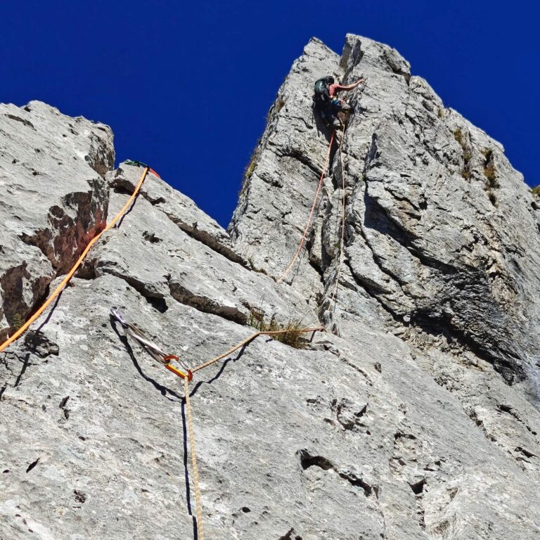 IMG20250831152544(3)(1)(1)