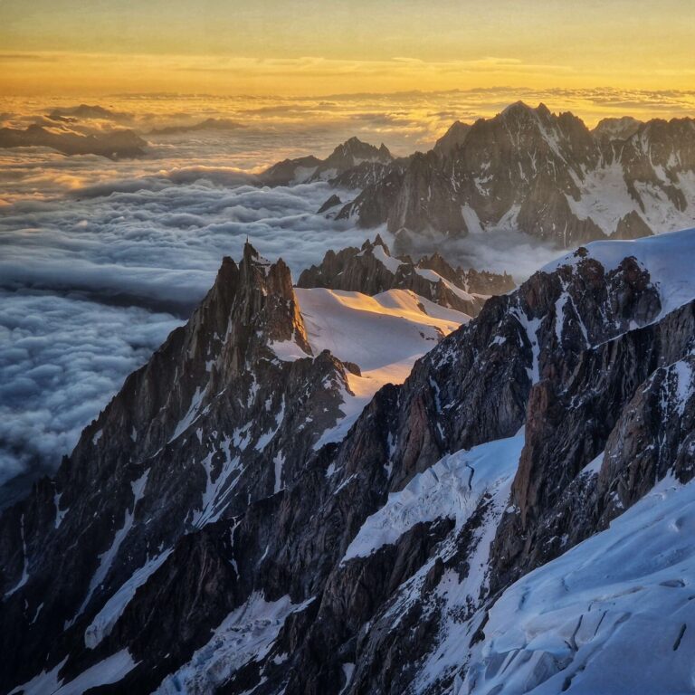 20240723_062301_1(1)